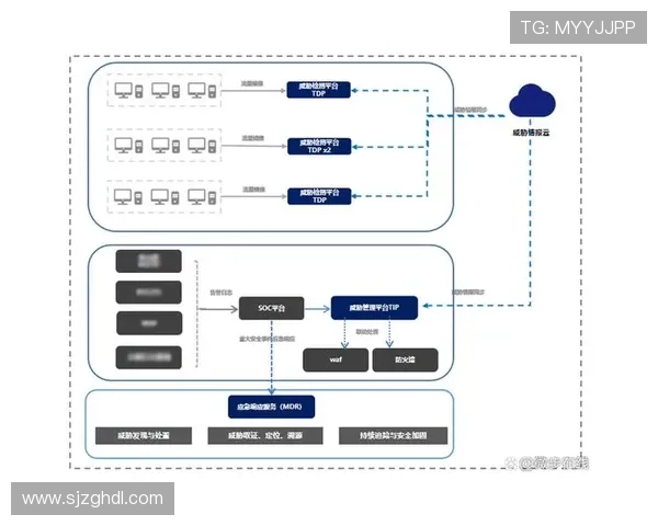 南京排球队防反战术解析：深度剖析排球比赛中的攻防策略与团队配合