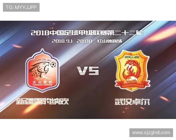 武汉足球队防守分析：优劣势与未来改进方向探讨